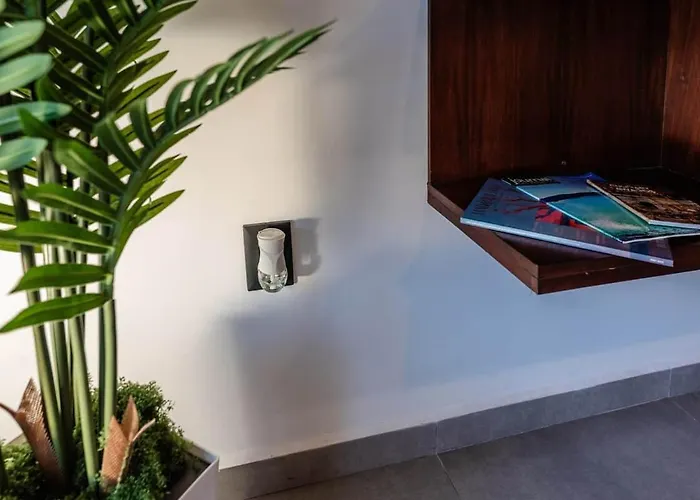 New Listing • Prime Location • Cozy & Modern Apartment Cabo San Lucas